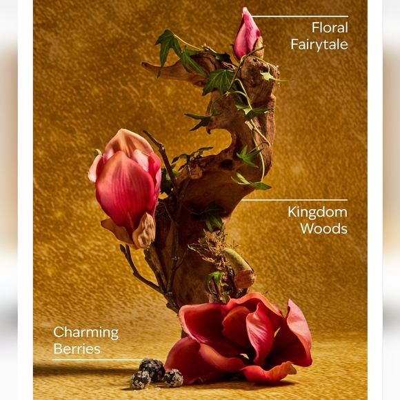 👑🤲NWT‼️Bath & Body Works Disney Princess Light-up Castle Holder w/ Sanitizers - Picture 10 of 16